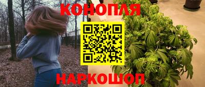 дурь Славгород