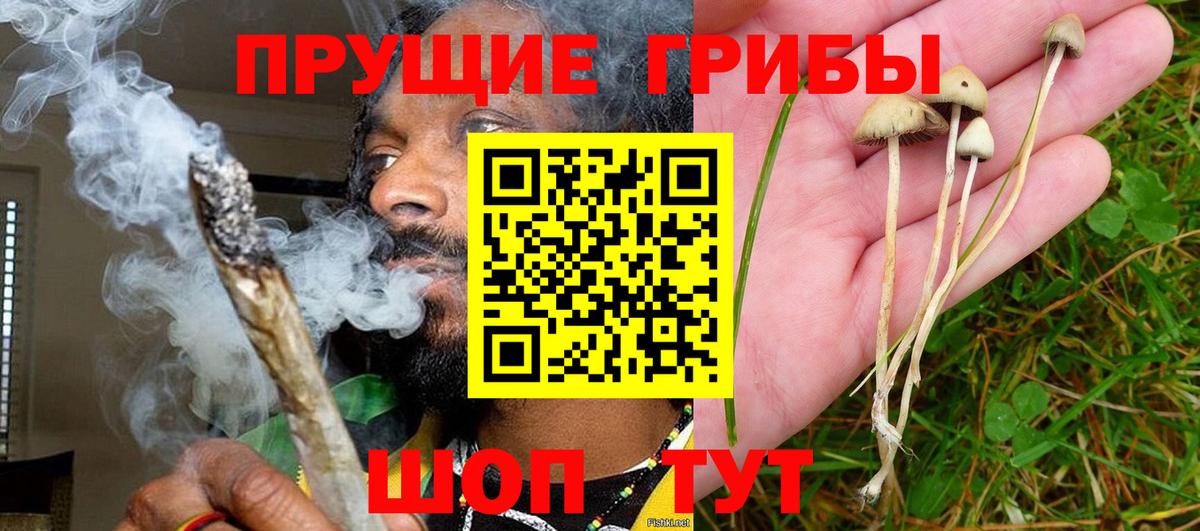 Псилоцибиновые грибы мухоморы  Галлюциногенные грибы GOLDEN TEACHER  Вход с VPN  Омск 